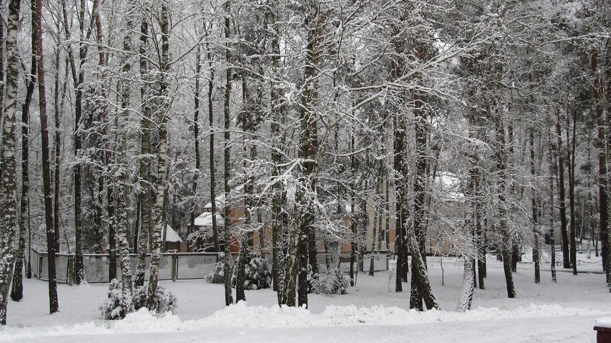 Санаторий зимой_2.JPG