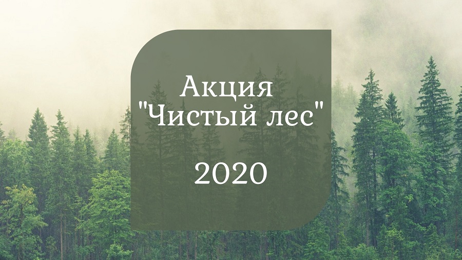 Презентация (16-9) 1920x1080 пикс(1).jpeg